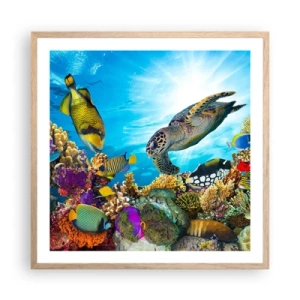 Affiche dans un chêne clair - Poster - Promenade de corail - 60x60 cm