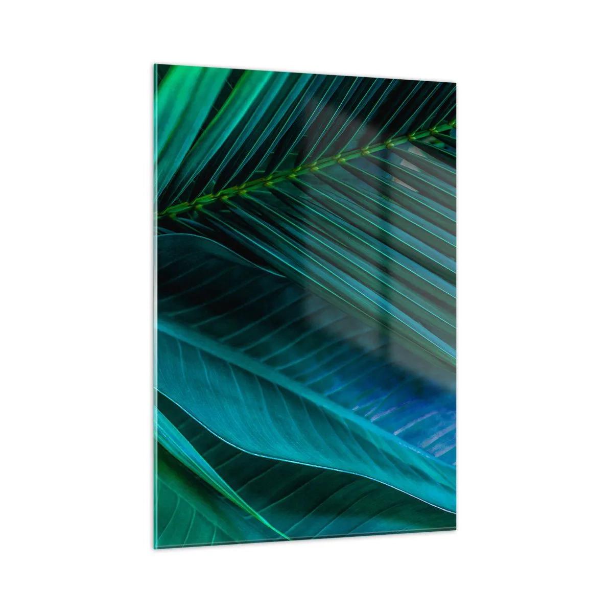 Impression sur verre - Image sur verre - Détails des feuilles tropicales vert foncé - 50x70cm - L'anatomie du vert - Décoration murale moderne pour le salon et la chambre ARTTOR
