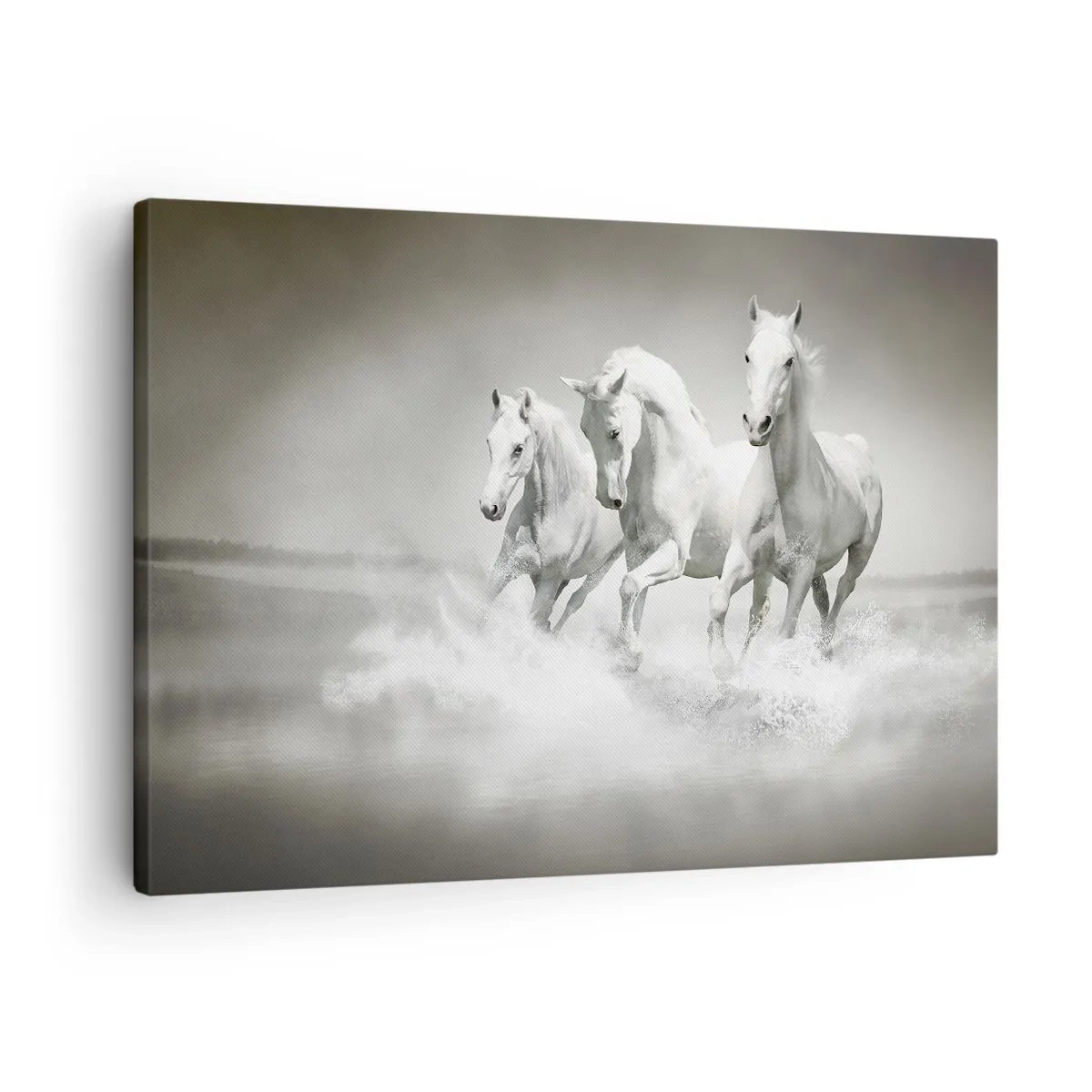 Impression sur toile - Image sur toile - Trois chevaux blancs galopant dans l'eau - 70x50cm - La folie blanche - Décoration murale moderne pour le salon et la chambre ARTTOR