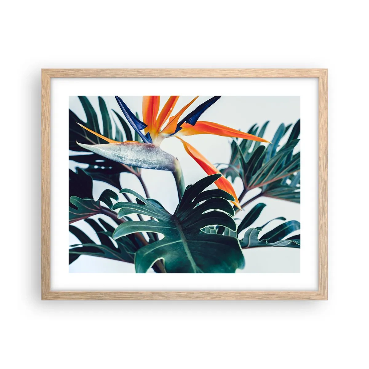 Affiche dans un chêne clair - Poster - Le buisson oiseaux - 50x40 cm