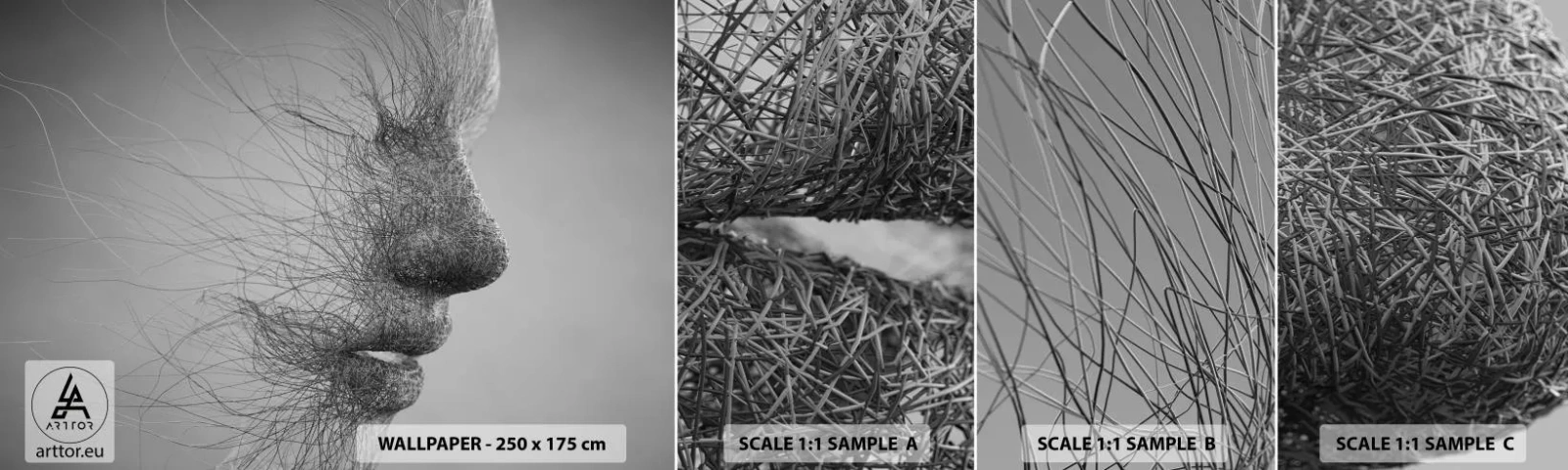 Échantillon De Papier Peint Standard Eco - L'esprit du vent - Abstraction, Visage de femme, Graphique - 100x30 cm