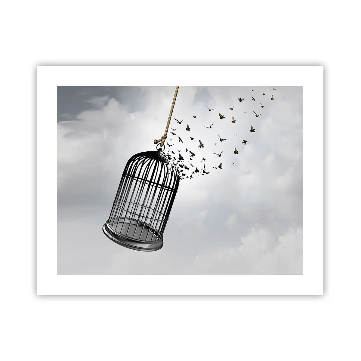 Affiche - Poster - Foie...Espoir...Liberté! - 50x40 cm