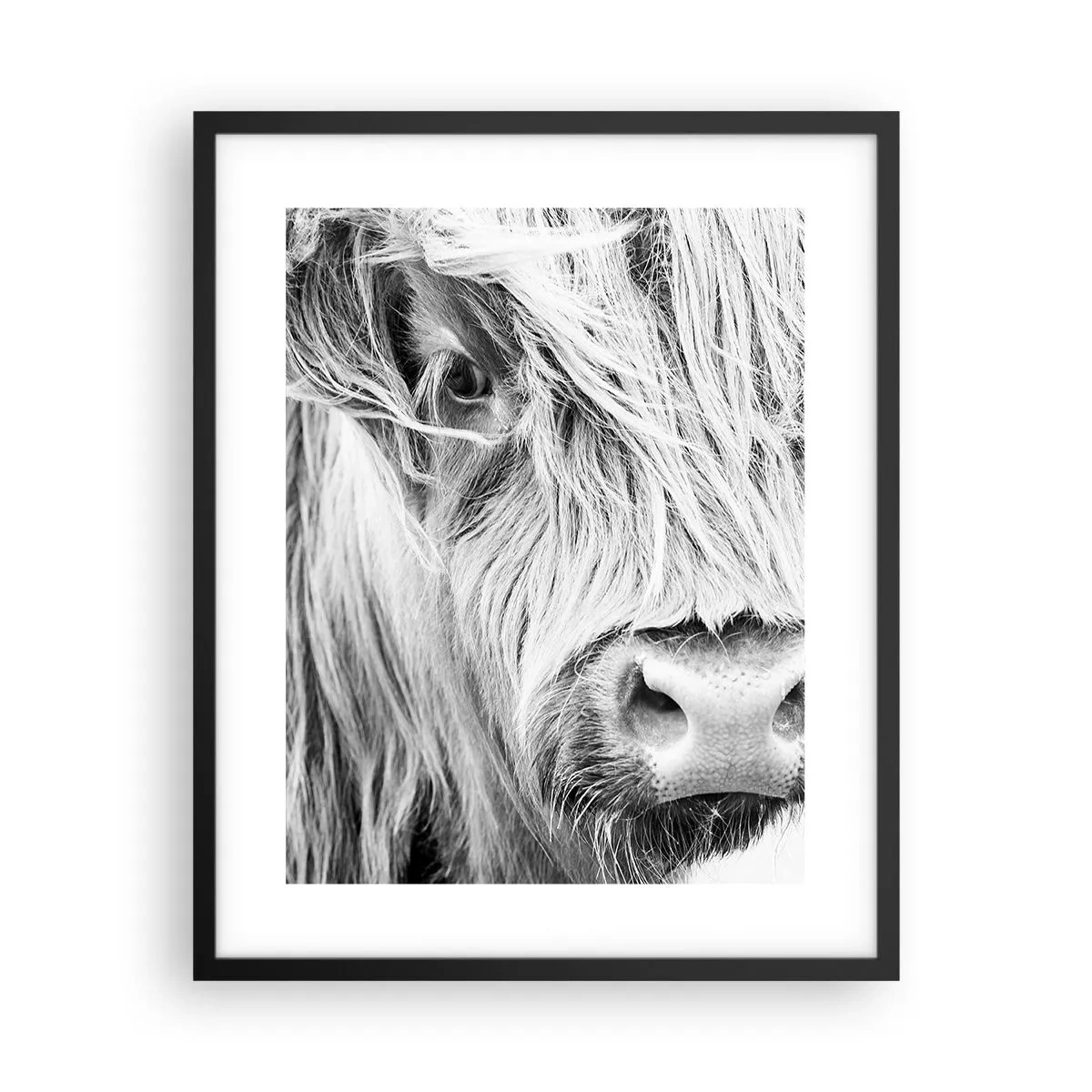 Affiche dans un cadre noir - Poster - Sauvagerie écossaise - 40x50 cm