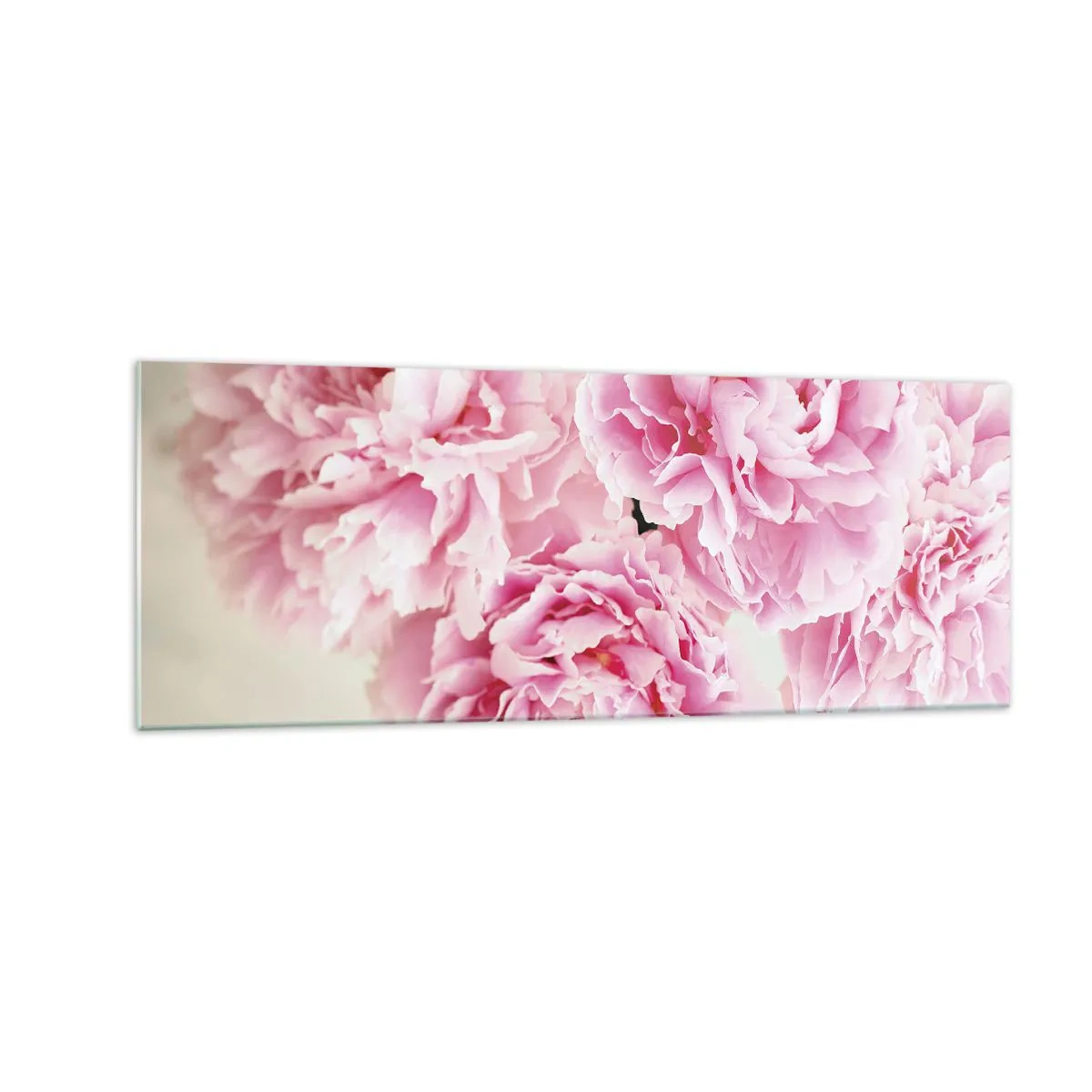 Impression sur verre - Image sur verre - Un bouquet de pivoines roses sur fond clair - 140x50cm - En glamour rose - Décoration murale moderne pour le salon et la chambre ARTTOR