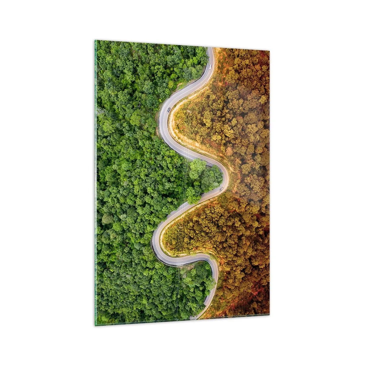 Impression sur verre - Image sur verre - Une route sinueuse à travers la forêt vue à vol d'oiseau - 70x100cm - Frontieres et differences - Décoration murale moderne pour le salon et la chambre ARTTOR