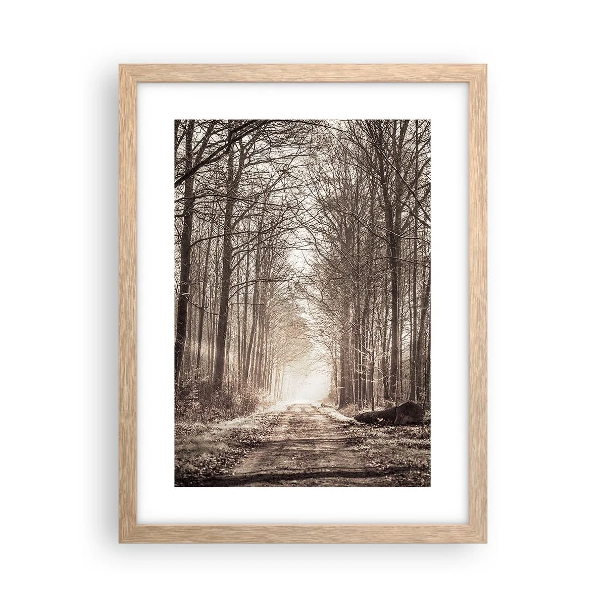 Affiche dans un chêne clair - Poster - Cathédrale de la forêt - 30x40 cm