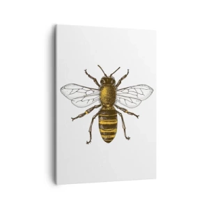 Impression sur toile - Image sur toile - Illustration détaillée d'une abeille sur fond blanc - 50x70cm - Belle et bonne - Décoration murale moderne pour le salon et la chambre ARTTOR