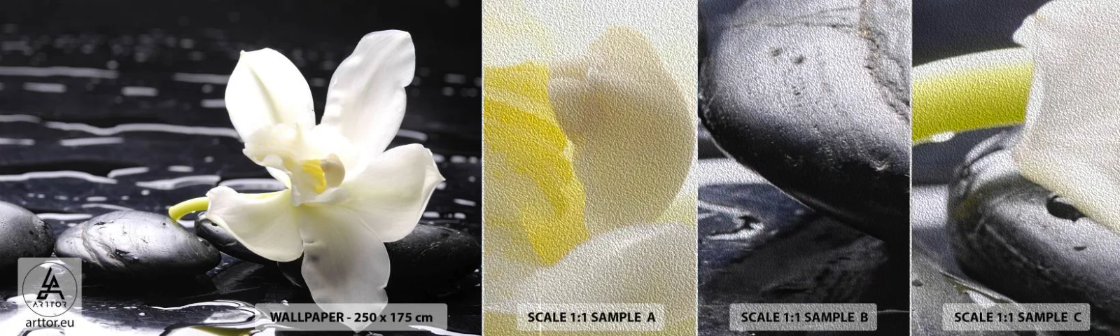 Échantillon de Papier Peint Premium Sand - Étude en noir et blanc - Fleurs, Des pierres, Orchidée - 100x30 cm