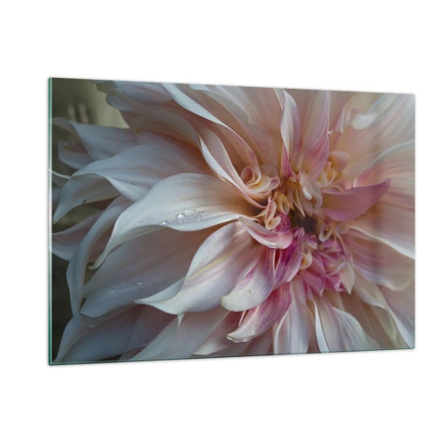 Impression sur verre - Image sur verre - Gros plan d'une fleur rose et crème avec des gouttes d'eau - 120x80cm - Fraîcheur fleurissante - Décoration murale moderne pour le salon et la chambre ARTTOR