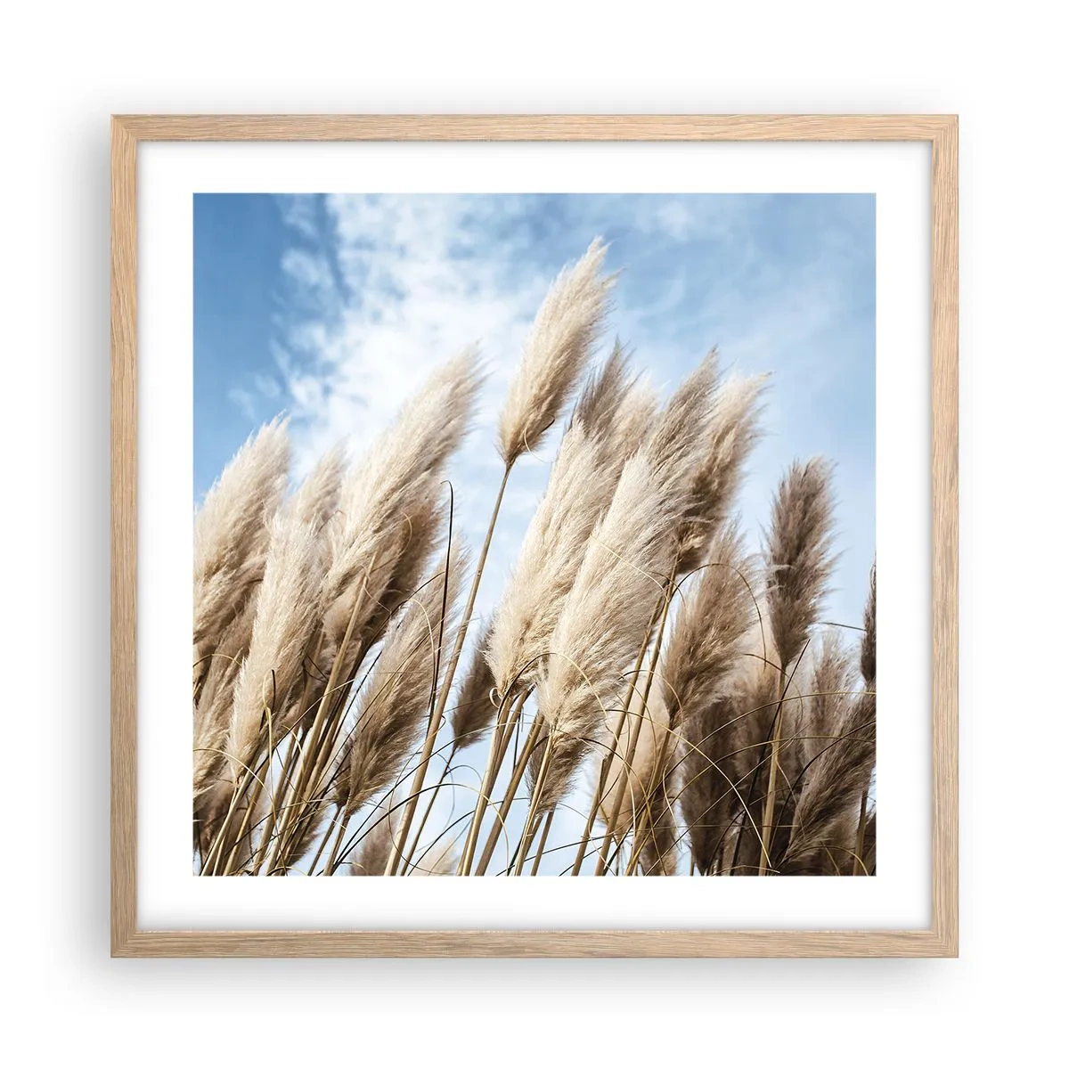 Affiche dans un chêne clair - Poster - Caresse ensoleillée et venteuse - 50x50 cm