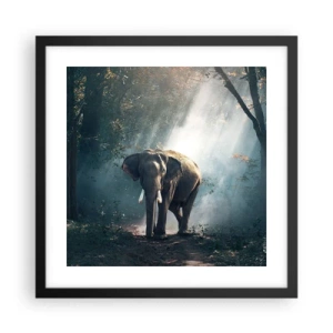 Affiche dans un cadre noir - Poster - Une balade tranquille - 40x40 cm