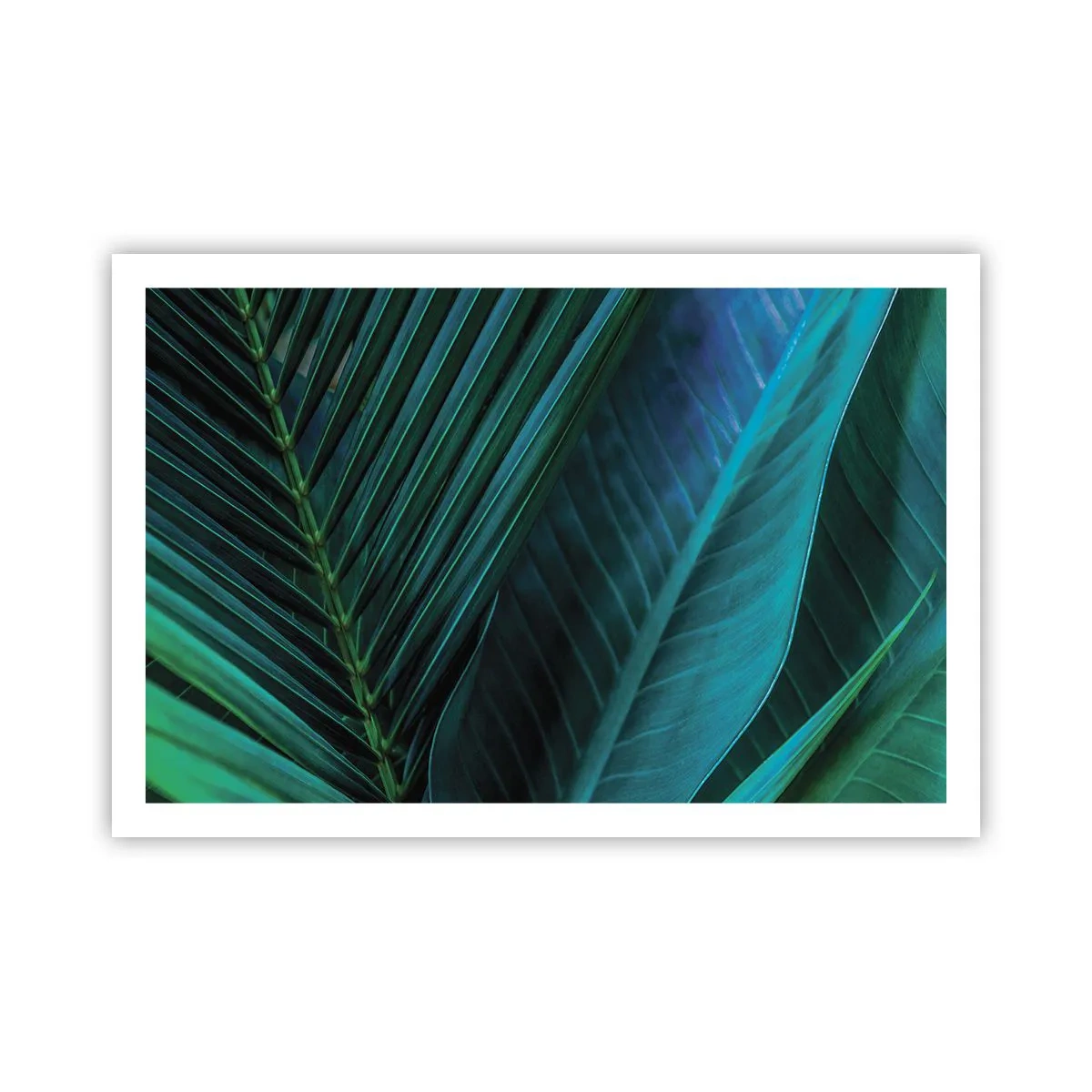 Affiche - Poster - L'anatomie du vert - 91x61 cm