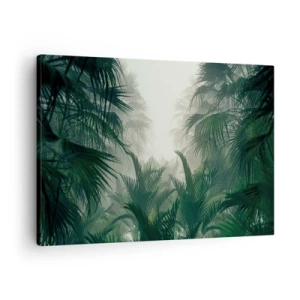 Impression sur toile - Image sur toile - Végétation tropicale dans un épais brouillard de forêt tropicale - 70x50cm - Secret tropical - Décoration murale moderne pour le salon et la chambre ARTTOR