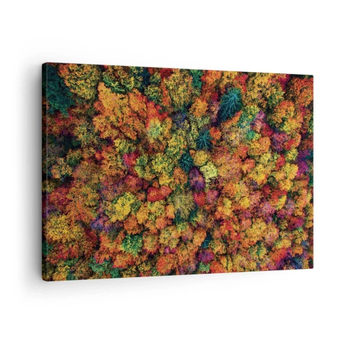 Impression sur toile - Image sur toile - Couronnes d'arbres colorées dans la palette d'automne - 70x50cm - Bouquet d'arbres automnal - Décoration murale moderne pour le salon et la chambre ARTTOR