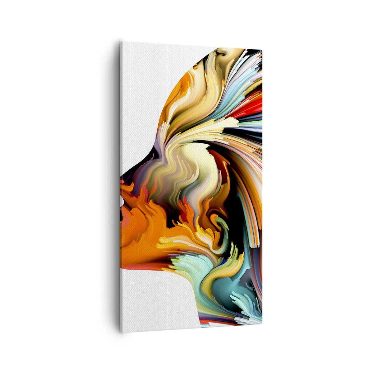 Impression sur toile - Image sur toile - Une explosion d'imaginaire - 55x100 cm