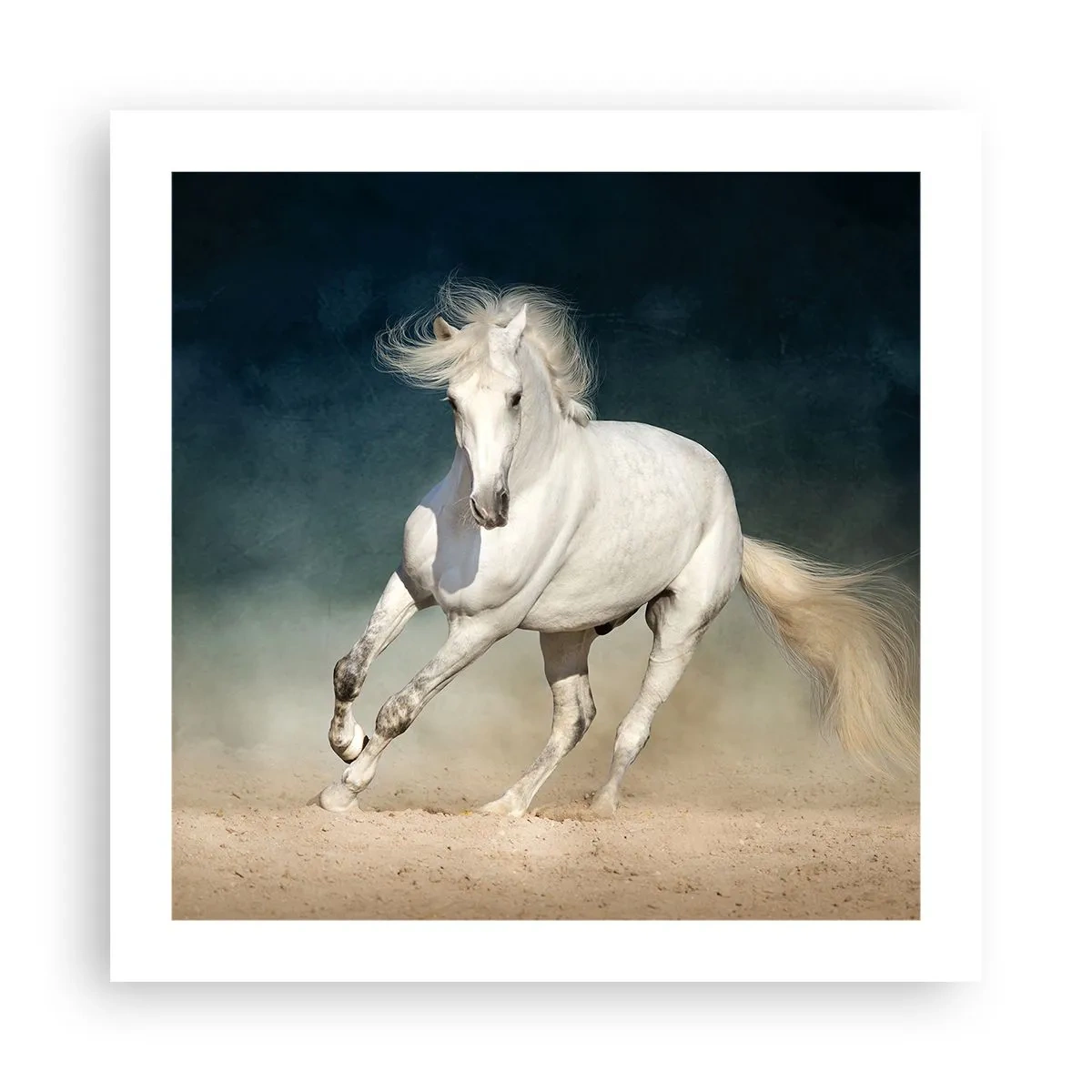 Affiche - Poster - La liberté à l'état pur - 50x50 cm