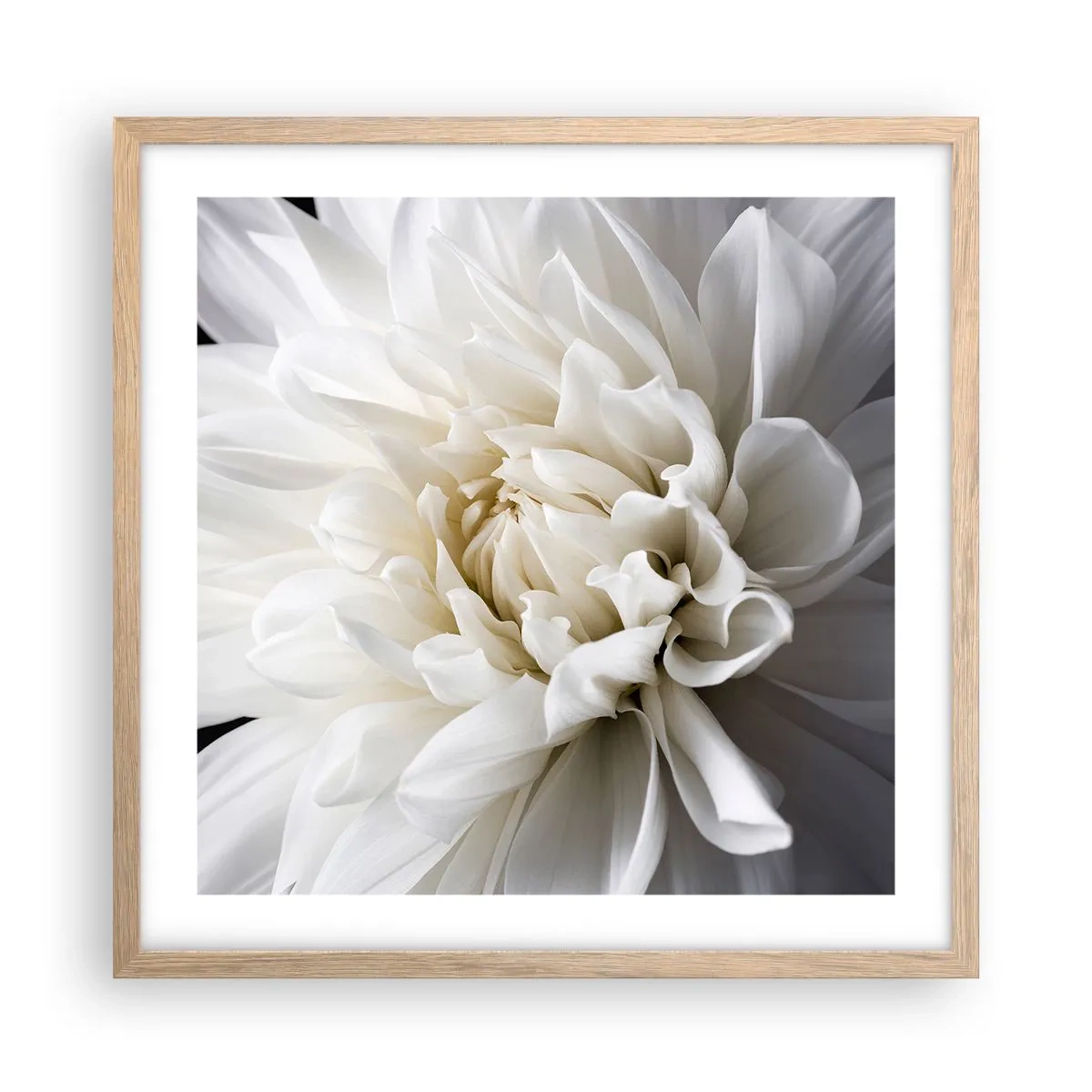 Affiche dans un chêne clair - Poster - Le matin de la jeune mariéé - 50x50 cm