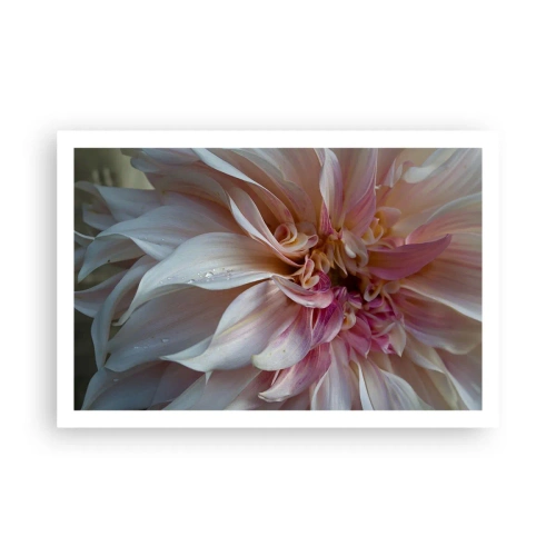 Affiche - Poster - Fraîcheur fleurissante - 91x61 cm