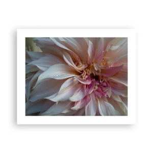 Affiche - Poster - Fraîcheur fleurissante - 50x40 cm