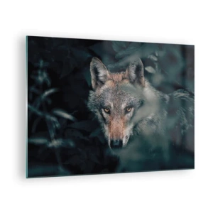 Impression sur verre - Image sur verre - Un loup observant avec vigilance depuis sa cachette dans le fourré de la forêt - 70x50cm - Chasseur - Décoration murale moderne pour le salon et la chambre ARTTOR
