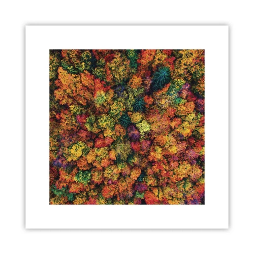 Affiche - Poster - Bouquet d'arbres automnal - 30x30 cm