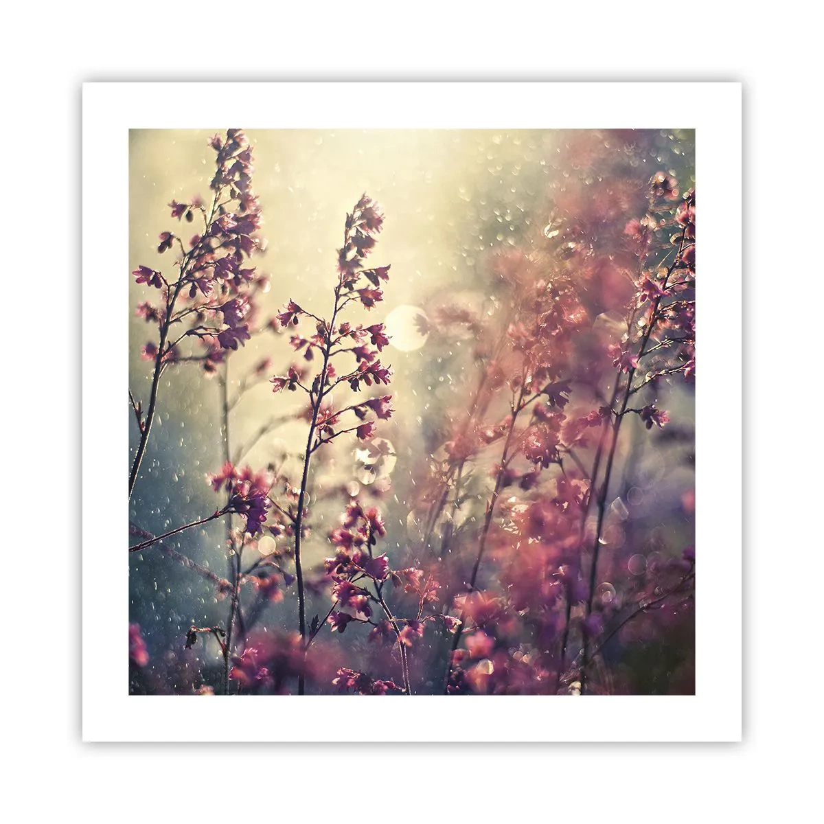 Affiche - Poster - Jardin secret - 50x50 cm