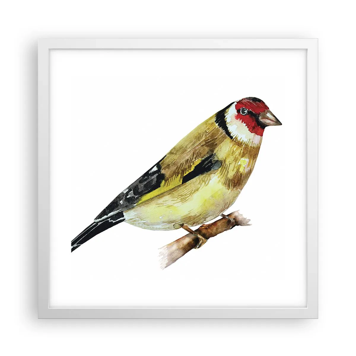 Affiche dans un cadre blanc - Poster - Portrait d'oiseau - 40x40 cm