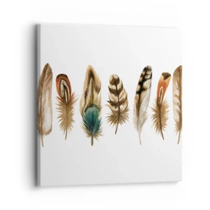 Impression sur toile - Image sur toile - Variation à plumes - 30x30 cm