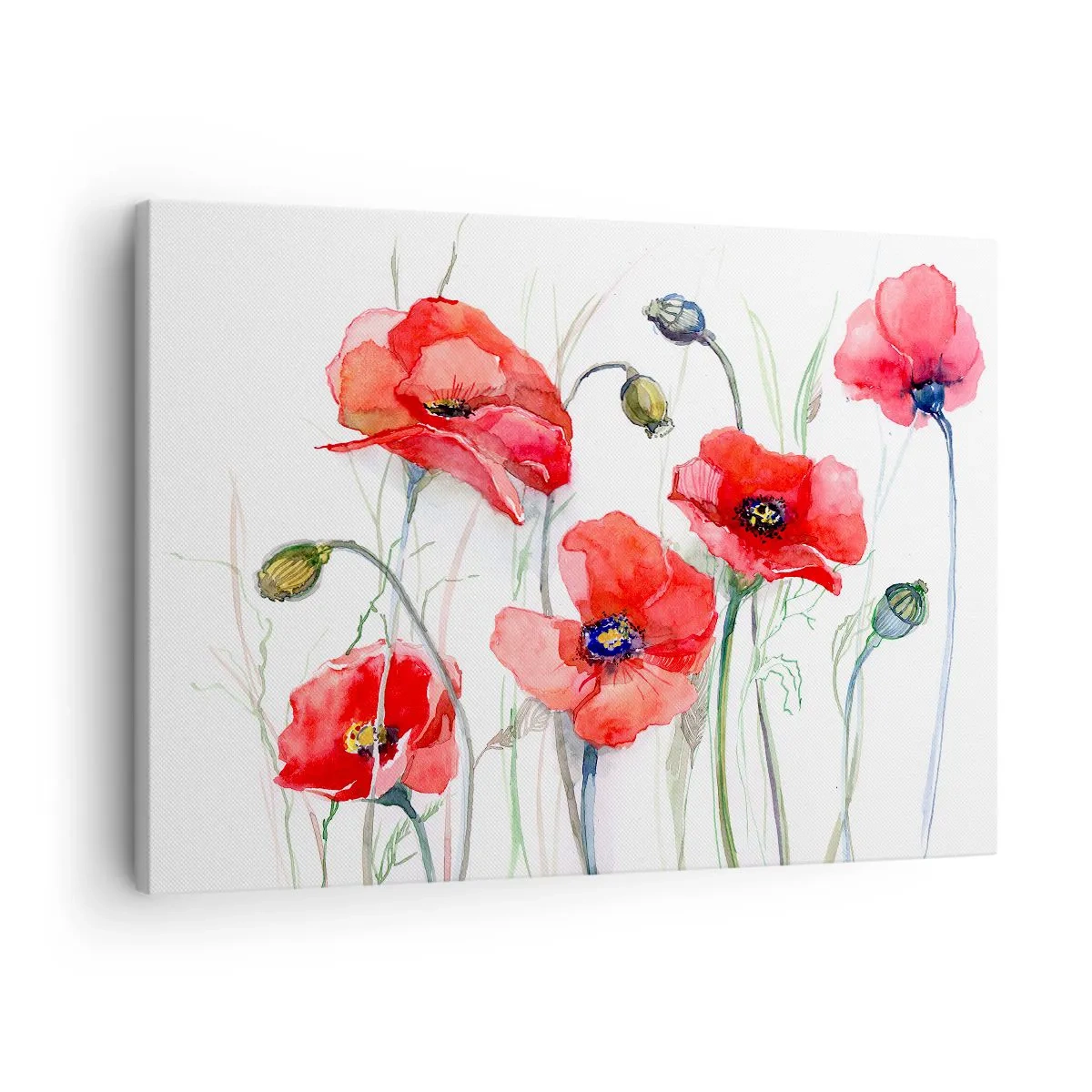 Impression sur toile - Image sur toile - Coquelicots à l'aquarelle sur un fond délicat - 70x50cm - Fleurs polonaises - Décoration murale moderne pour le salon et la chambre ARTTOR