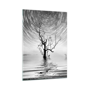 Impression sur verre - Image sur verre - Paysage noir et blanc avec un arbre et des traînées d'étoiles - 50x70cm - La symphonie de la nature - Décoration murale moderne pour le salon et la chambre ARTTOR