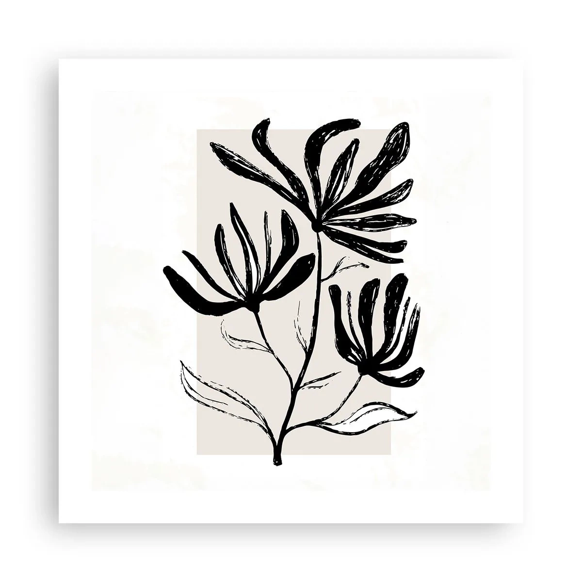 Affiche - Poster - Esquisse pour l'herbier - 50x50 cm