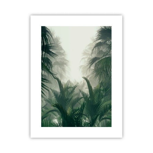 Affiche - Poster - Secret tropical - 30x40 cm