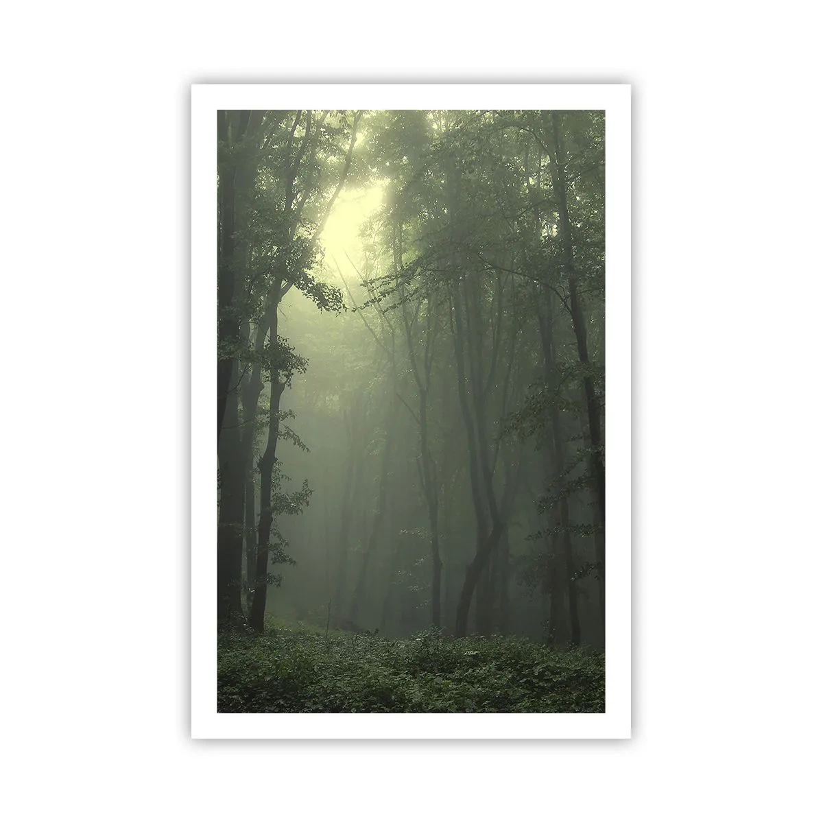 Affiche - Poster - Avant qu'il ne se réveille - 61x91 cm