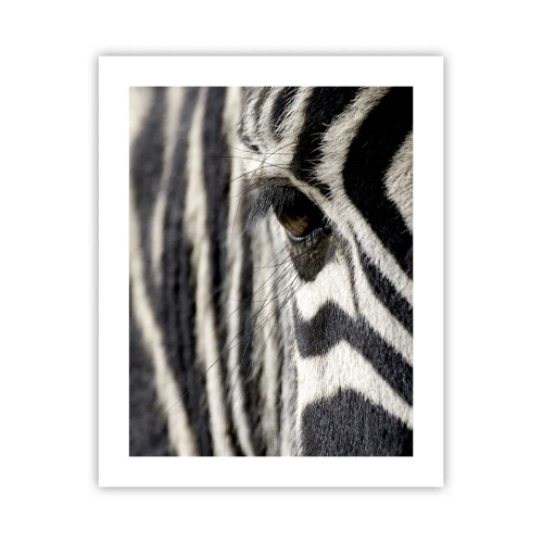 Affiche - Poster - Portrait en rayure - 40x50 cm