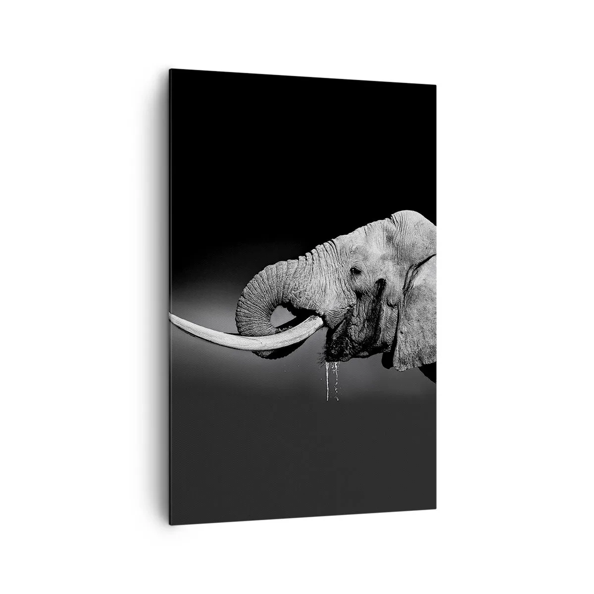 Impression sur toile - Image sur toile - Portrait noir et blanc d'un éléphant de profil - 80x120cm - Oui, c'est bon maintenant - Décoration murale moderne pour le salon et la chambre ARTTOR