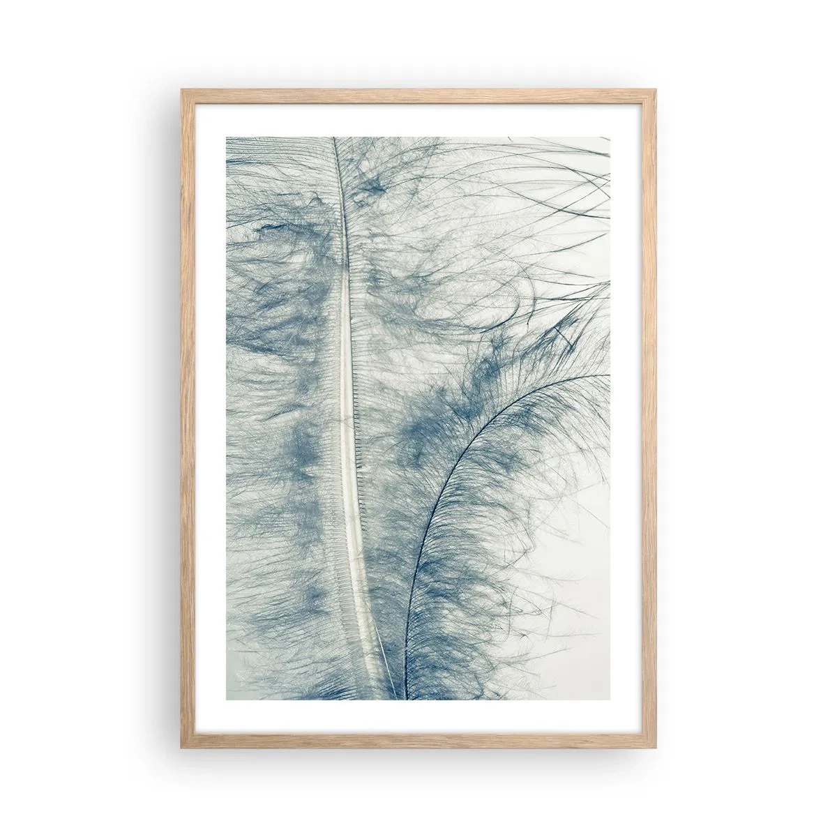 Affiche dans un chêne clair - Poster - Les sept natures - 50x70 cm