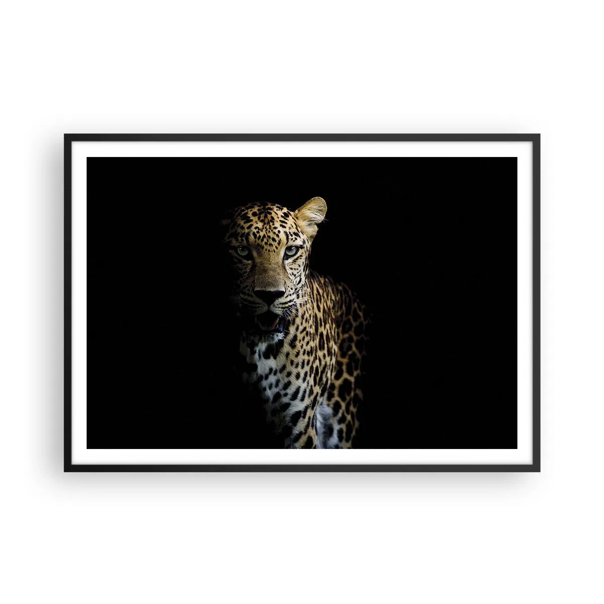 Affiche dans un cadre noir - Poster - Un léopard sur fond sombre avec un regard intense - 100x70cm - Beauté sombre - Décoration murale moderne pour le salon et la chambre ARTTOR