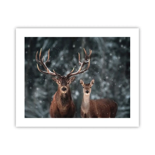 Affiche - Poster - Le roi de la forêt avec sa femme - 50x40 cm