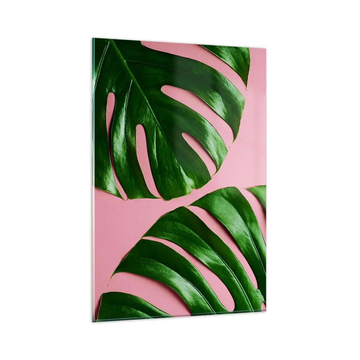 Impression sur verre - Image sur verre - Feuilles de monstera vertes sur fond rose - 80x120cm - Rendez-vous vert - Décoration murale moderne pour le salon et la chambre ARTTOR