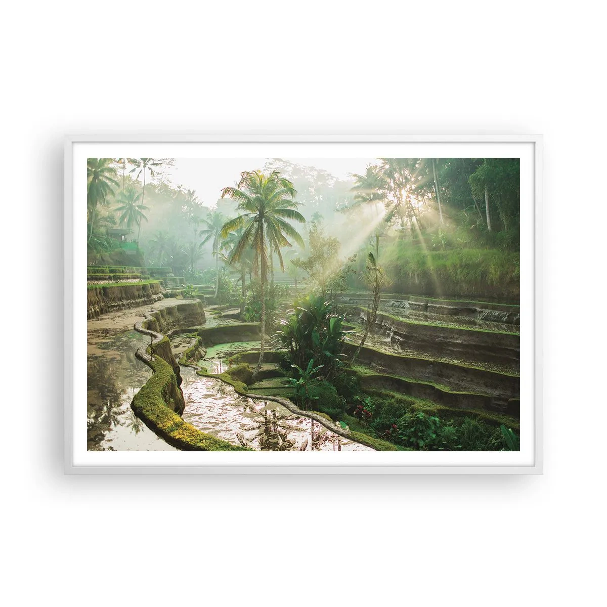 Affiche dans un cadre blanc - Poster - Grandir au soleil - 100x70 cm