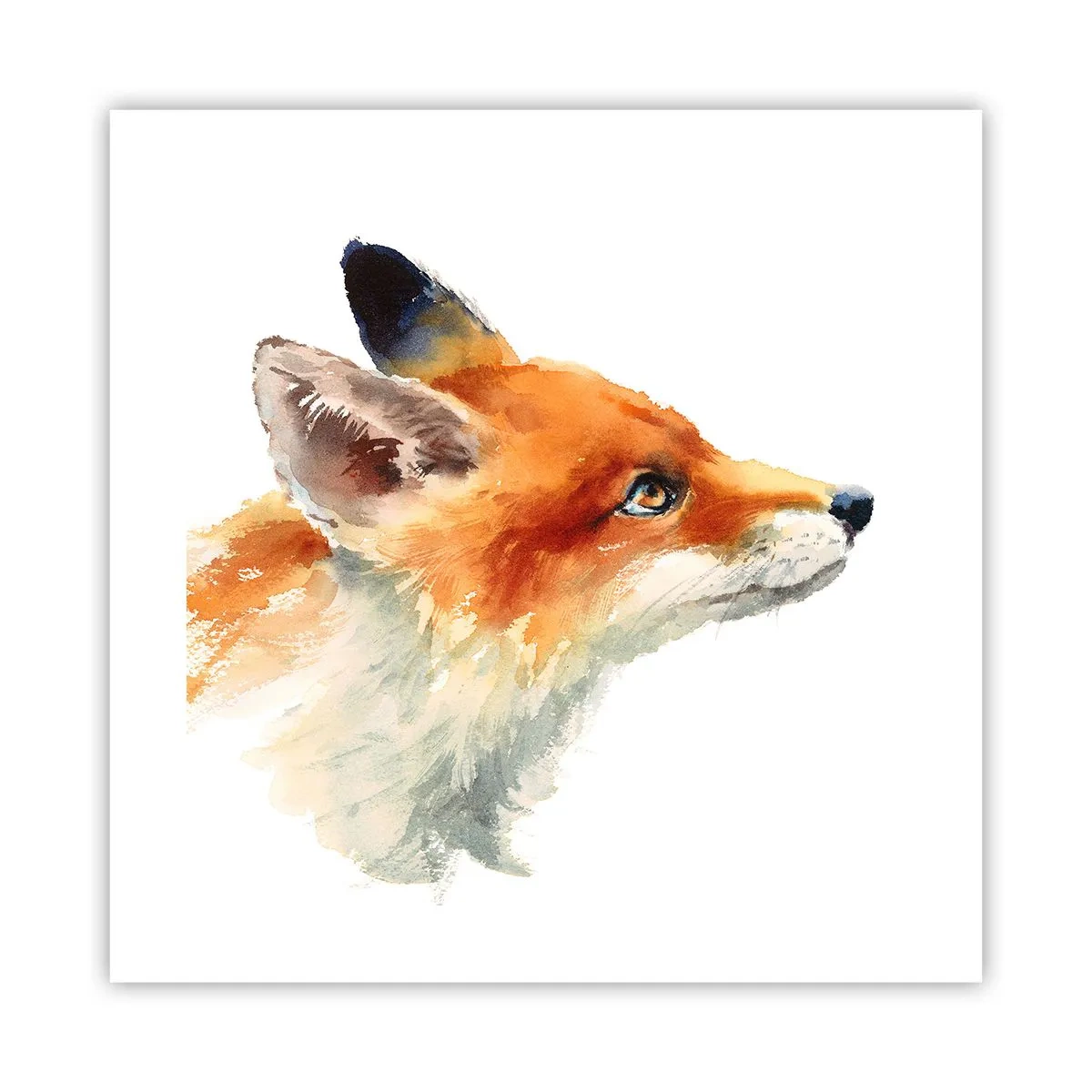 Affiche - Poster - Vous ne pouvez jamais être trop prudent - 40x40 cm