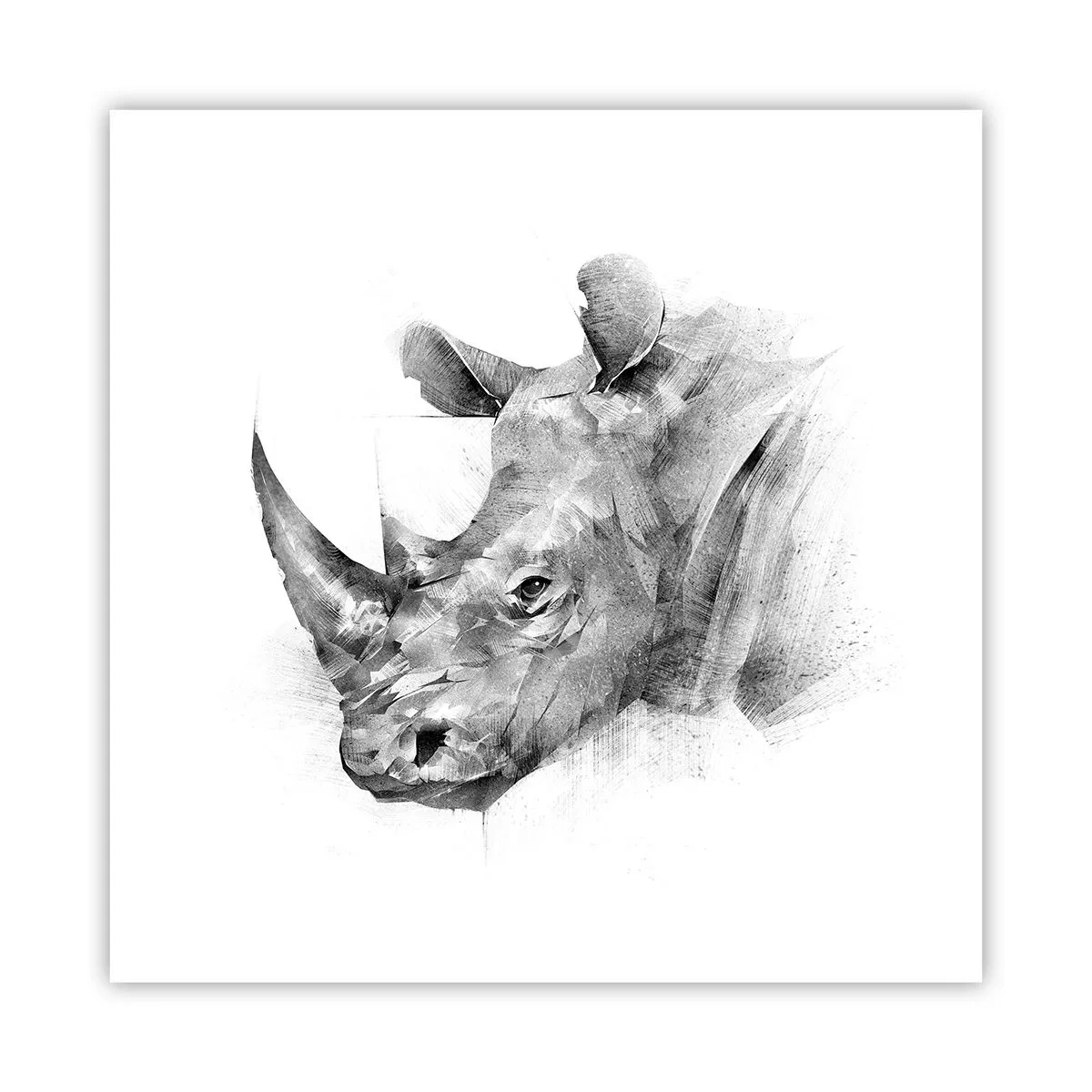 Affiche - Poster - Potrait africain - 40x40 cm