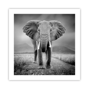 Affiche - Poster - Les hôtes vous saluent - 50x50 cm