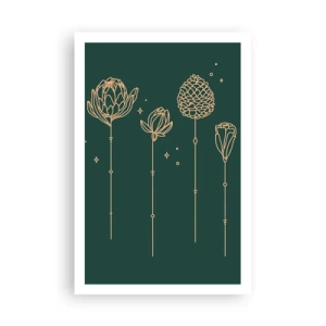 Affiche - Poster - La famille Plante - 61x91 cm