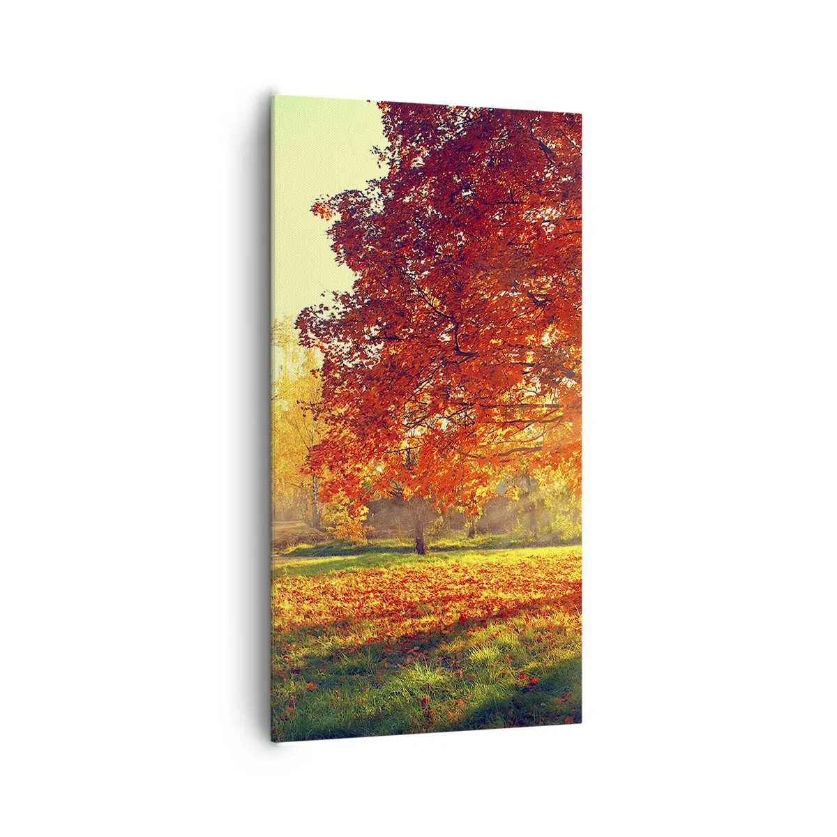 Impression sur toile - Image sur toile - Le roux est beau - 65x120 cm