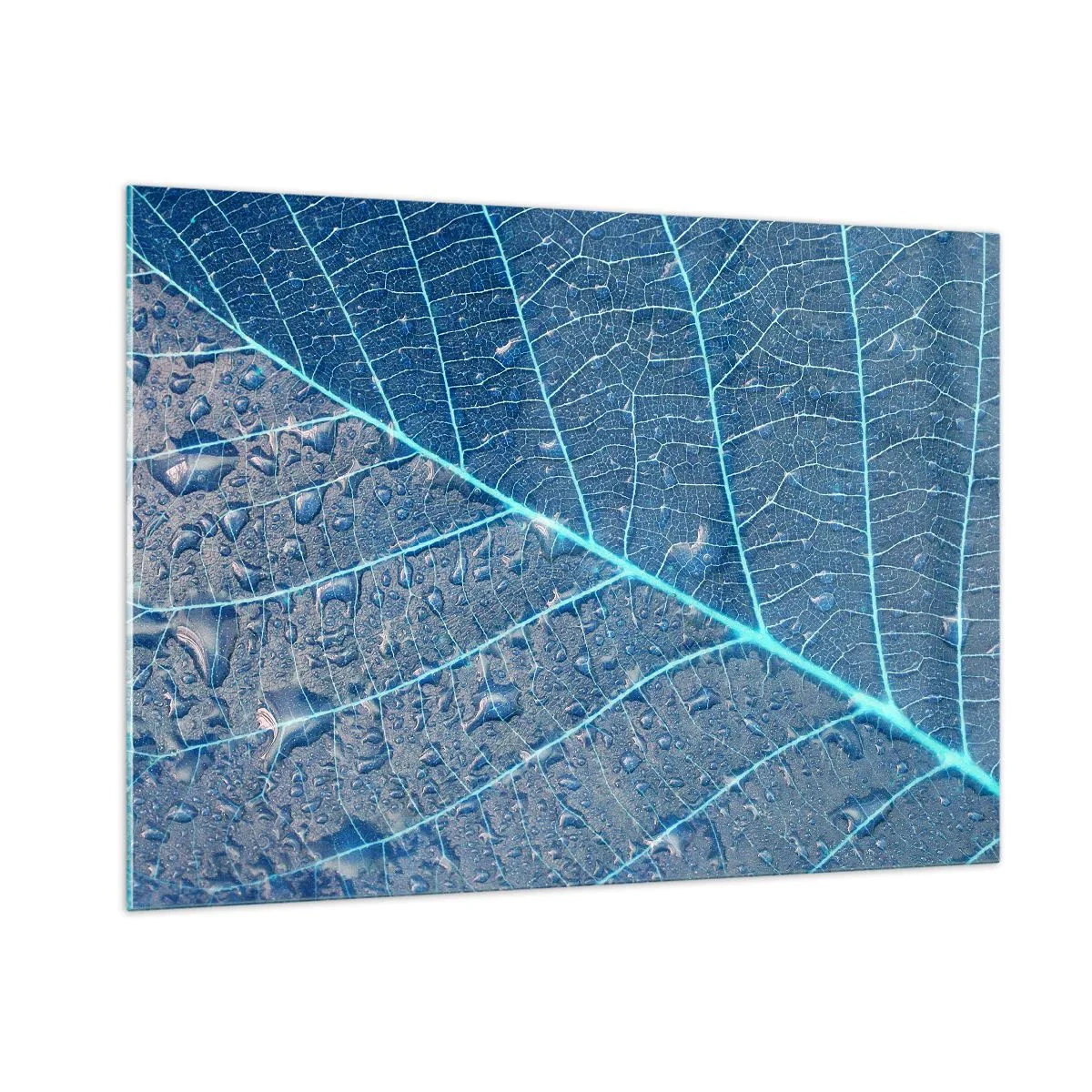 Impression sur verre - Image sur verre - Macrophotographie d'une feuille avec des gouttes d'eau dans des tons de bleu - 100x70cm - La vie en bleu - Décoration murale moderne pour le salon et la chambre ARTTOR