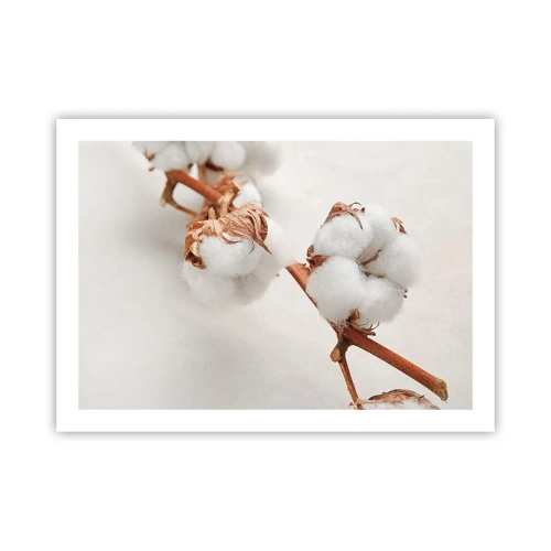 Affiche - Poster - Seulement caliner - 70x50 cm