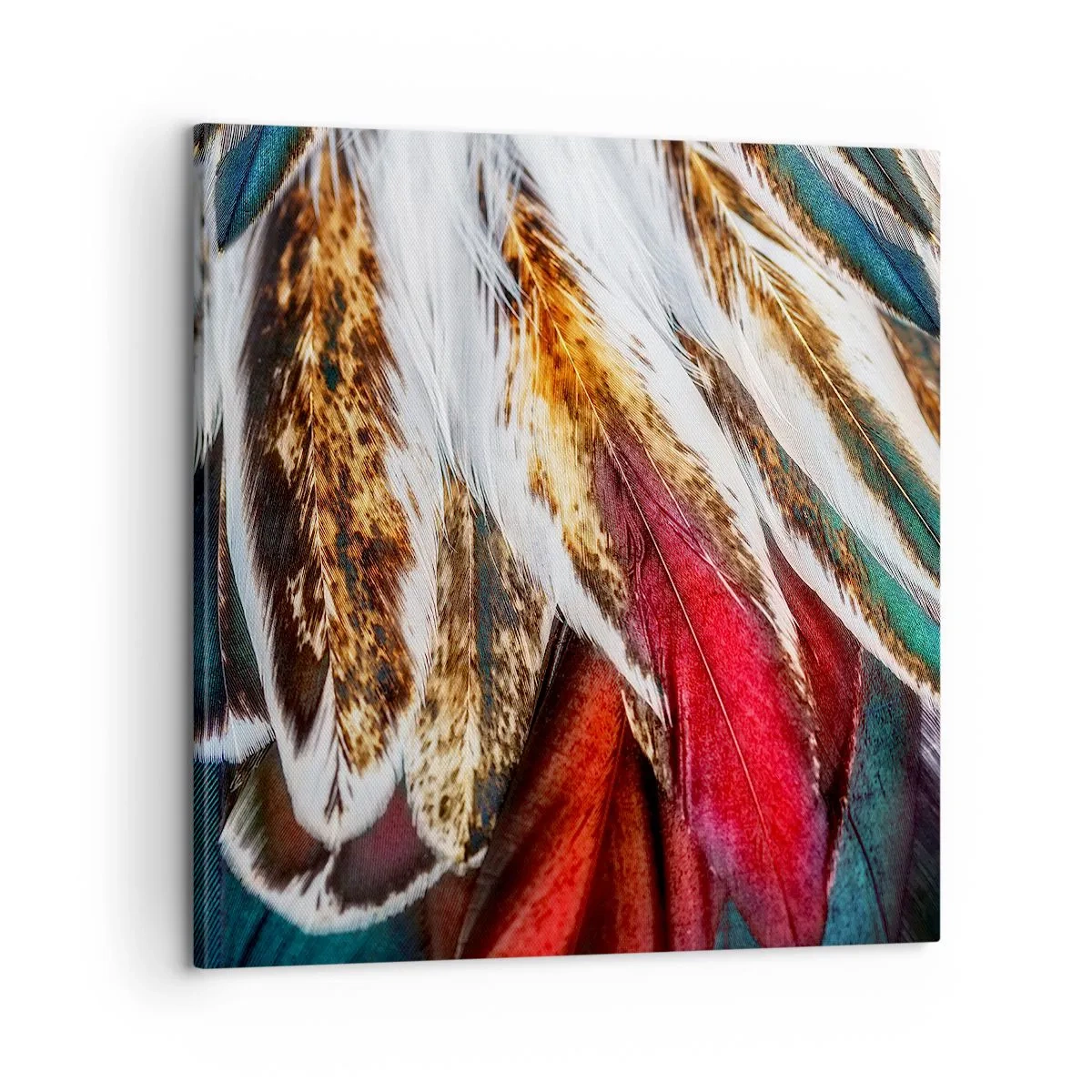 Impression sur toile - Image sur toile - Secrets de vol - 60x60 cm