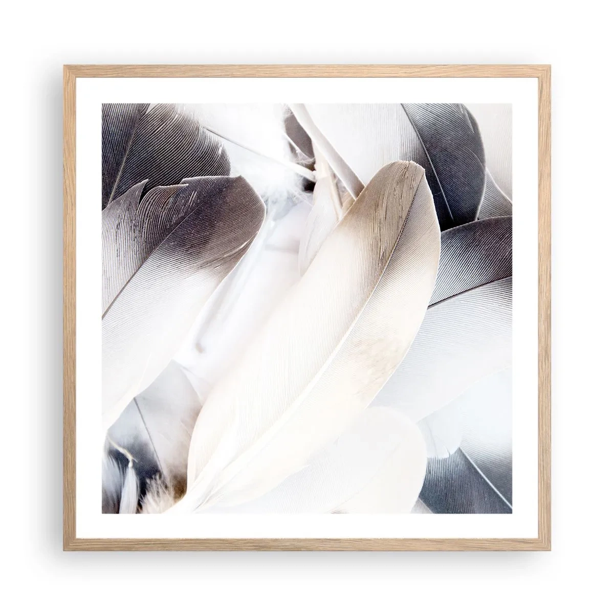 Affiche dans un chêne clair - Poster - Presque angélique - 60x60 cm