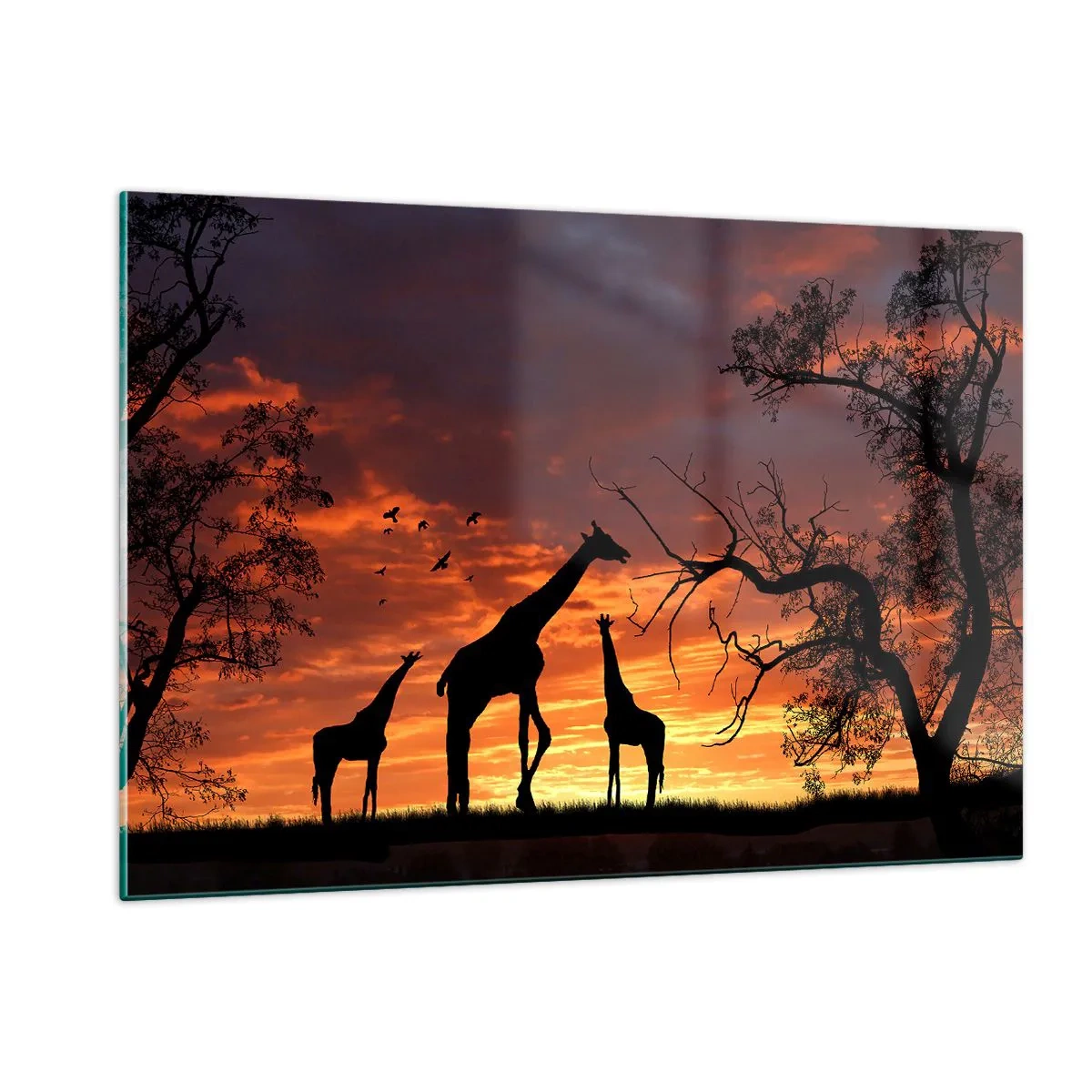 Impression sur verre - Image sur verre - Silhouettes de girafes sur fond de coucher de soleil dans un paysage africain - 120x80cm - Un petit dîner avec vos proches - Décoration murale moderne pour le salon et la chambre ARTTOR